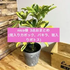 ni co様 リクエスト 3点 まとめ商品