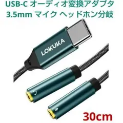 USB-C オーディオ変換アダプタ 3.5mm マイク ヘッドホン分岐 未使用品