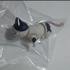 まぐねっこ ブチ すまいる