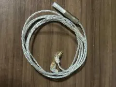 Item thumbnail for item ed7ce753-2819-406b-a8f9-9924b9a49e6a