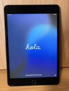 【バッテリー容量100%】iPad mini 第5世代 本体