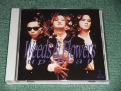 2-2468 廃盤T4R 広石武彦UP-BEAT サイン 廃盤 帯付美品 CD「UP-BEAT / Big Thrill」 Give Me Your Love