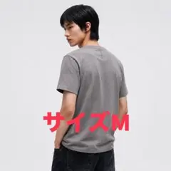 2026年最新】ラビリンス tシャツの人気アイテム - メルカリ