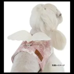 Item thumbnail for item b2e1d38c-314f-433c-b582-212373c7d51a