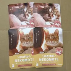 Item thumbnail for item f318d598-056a-43e0-947d-8fbd72adc81f