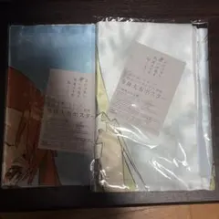 希少】マシュー・バーニー 展覧会 図録 拘束のドローイング9展 記念