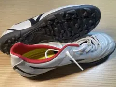 Item thumbnail for item e6b0a80e-123d-4c00-a2c3-c157c5f766e0