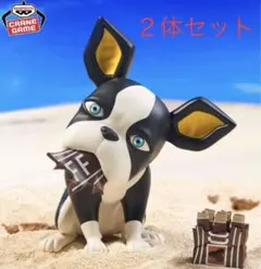 2025年最新】sofvimates イギーの人気アイテム - メルカリ