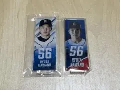 川野涼多選手直筆サインカード 埼玉西武ライオンズ Amazon.co.jp: 埼玉西武ライオンズ 2024 ファンクラブ選手カード