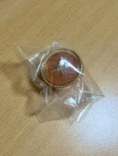 東雲彰人 セカライ5th リンライ リングライト 1点