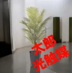 光触媒　人工観葉植物　ウォールグリーン　フェイクグリーン　アレカパーム1.3