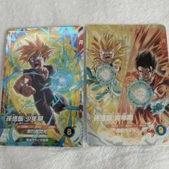 ドラゴンボール　スーパーダイバーズ　大会プロモ　SDVTP-005 孫悟飯