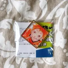 ハイキュー 色紙風 アクリルキーホルダー 日向