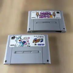 SFCソフト2本セット