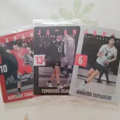 バレーボール 日本代表 トレーディングカードセット
