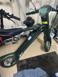 明日6/1まで限定価格】STRIDA SX ミントグリーン カスタム - メルカリ