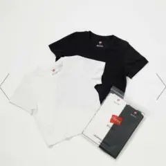 Hanes for BIOTOP CROPPED T-SHIRTS 白黒セットのサムネイル