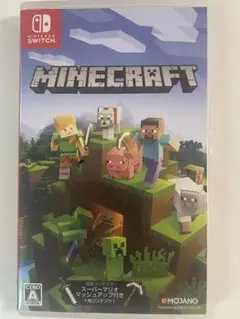 Minecraft Nintendo Switch版
