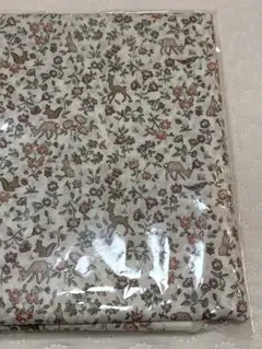 Item thumbnail for item 8b249eb7-85d9-4627-bfdb-fa92a10030ed