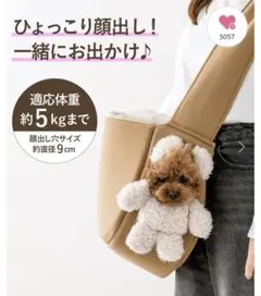 顔出しベアバック ☆ 新品未使用品 ☆ スリーコインズ