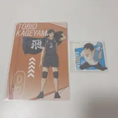 ハイキュー 影山飛雄