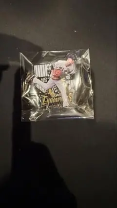 阪神タイガース セ・リーグ優勝 一番くじ アクリルスタンド　大竹