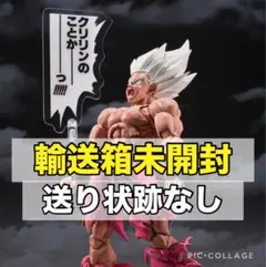 ③S.H.フィギュアーツ　スーパーサイヤ人孫悟空-ゲンキダマツリ