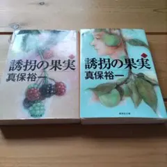 Item thumbnail for item a8044a8b-64a3-4666-bd88-35193a4ca524