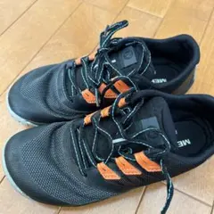 Item thumbnail for item 71ef3bcc-1a97-4fcc-8139-8b050bb824b1