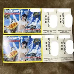 ナガシマスパーランド ジャンボ海水プール 入場券 2枚 - メルカリ