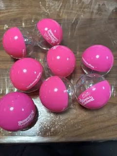 東京ディズニーランド パルパルーザ”ミニーのファンダーランド” カプセル８個