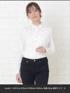 【Lace Ladies】胸元レース 詰襟フリル長袖ブラウス