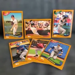 473 大リーグカード　ティム.サーモン 473 大リーグカード ティム.サーモン