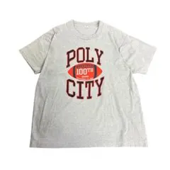 80s SCREEN STARS Tシャツ　POLY CITY 古着　8#b
