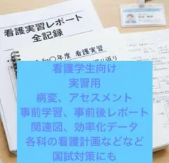 Item thumbnail for item 8fd10e0b-9a9b-4fa6-a986-5a37999e34ba