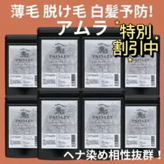 特別割引中！】最高品質ヘナ専門店ペイズリーヘナのインディゴ100g×8