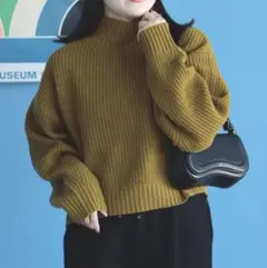 BEAMSHEART ボリュームスリーブ タートルネック （手洗い可能）