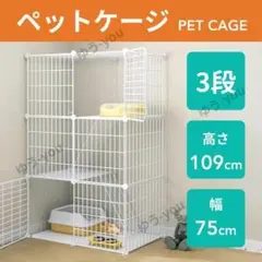 Item thumbnail for item ce6809bb-ff1a-452f-9584-1cc3991532f2