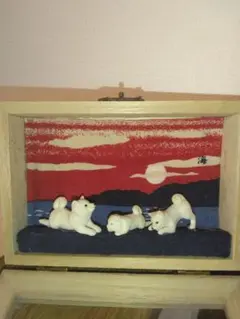 柴犬ボックス　海