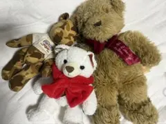 くまぬいぐるみセット
