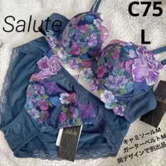 新品Salute サルート ブラ ショーツ C75 L マイフェアレディ60KO
