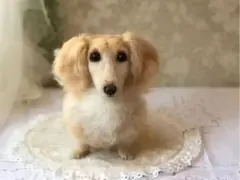 SS様　ご確認用　☆ダックス　羊毛フェルト　犬　オーダー