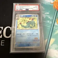 ★PSA10★【オーダイル/プロモ/イラコン2024】241/SV-P