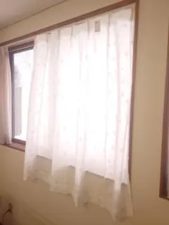 Item thumbnail for item 10d988d4-980a-4812-9bbf-73d538520bd5