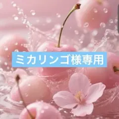 ミカリンゴ様専用☺︎