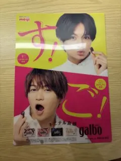 ふまけんガルボコラボ　下敷き、クリアファイル7種