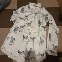 zara シャツ