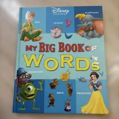 2026年最新】dwe my big book of wordsの人気アイテム - メルカリ
