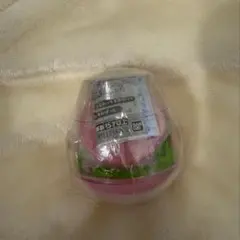 たまごっちカプセリウム　ふらわっち&めめっち