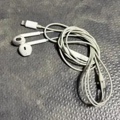 Apple イヤフォン　ライトニング